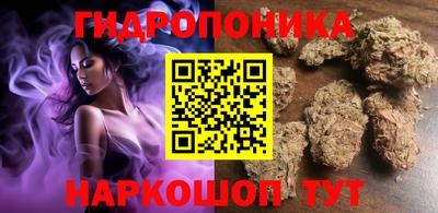 стафф Краснокаменск