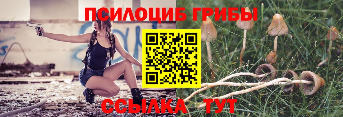 Галлюциногенные грибы MAGIC MUSHROOMS Урюпинск