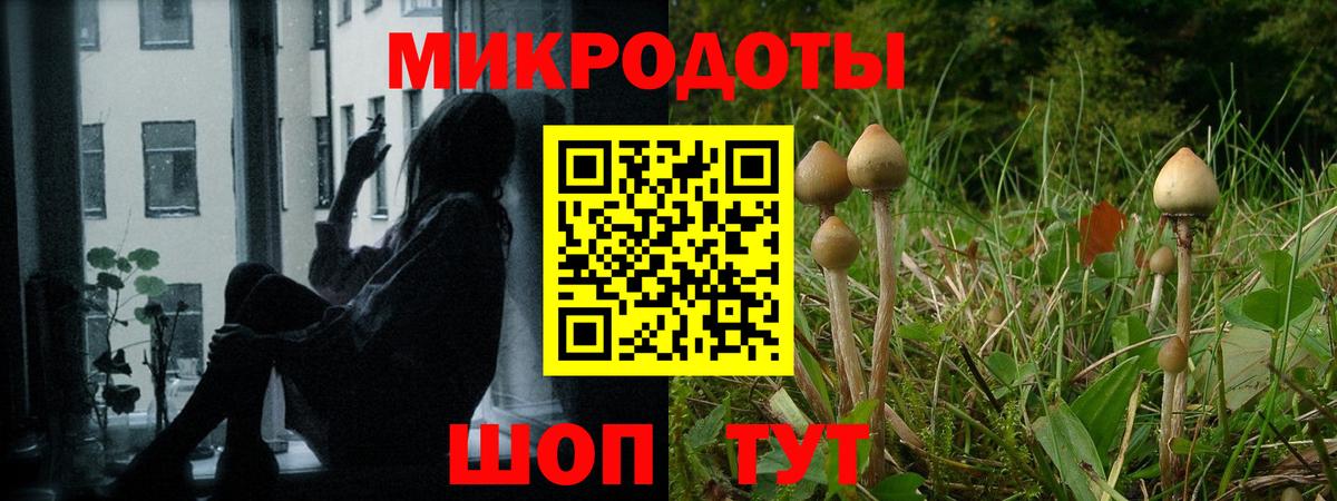 Урюпинск  Псилоцибиновые грибы мицелий  Галлюциногенные грибы Psilocybine cubensis  Вход с VPN 